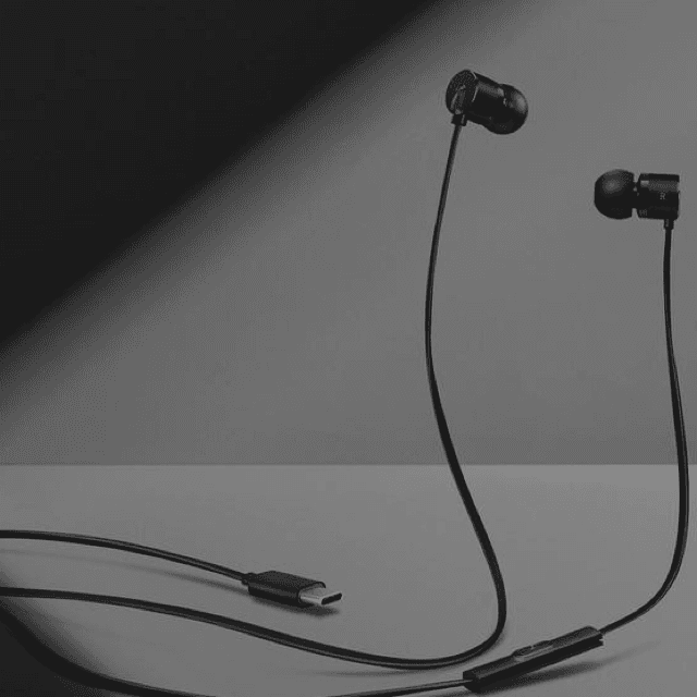OnePlus Type C Bullets Head Free Black