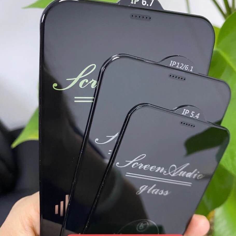 Screen Audio Glass For Iphone 12 _12 Pro Max _ Xs_ Xs Max_ X